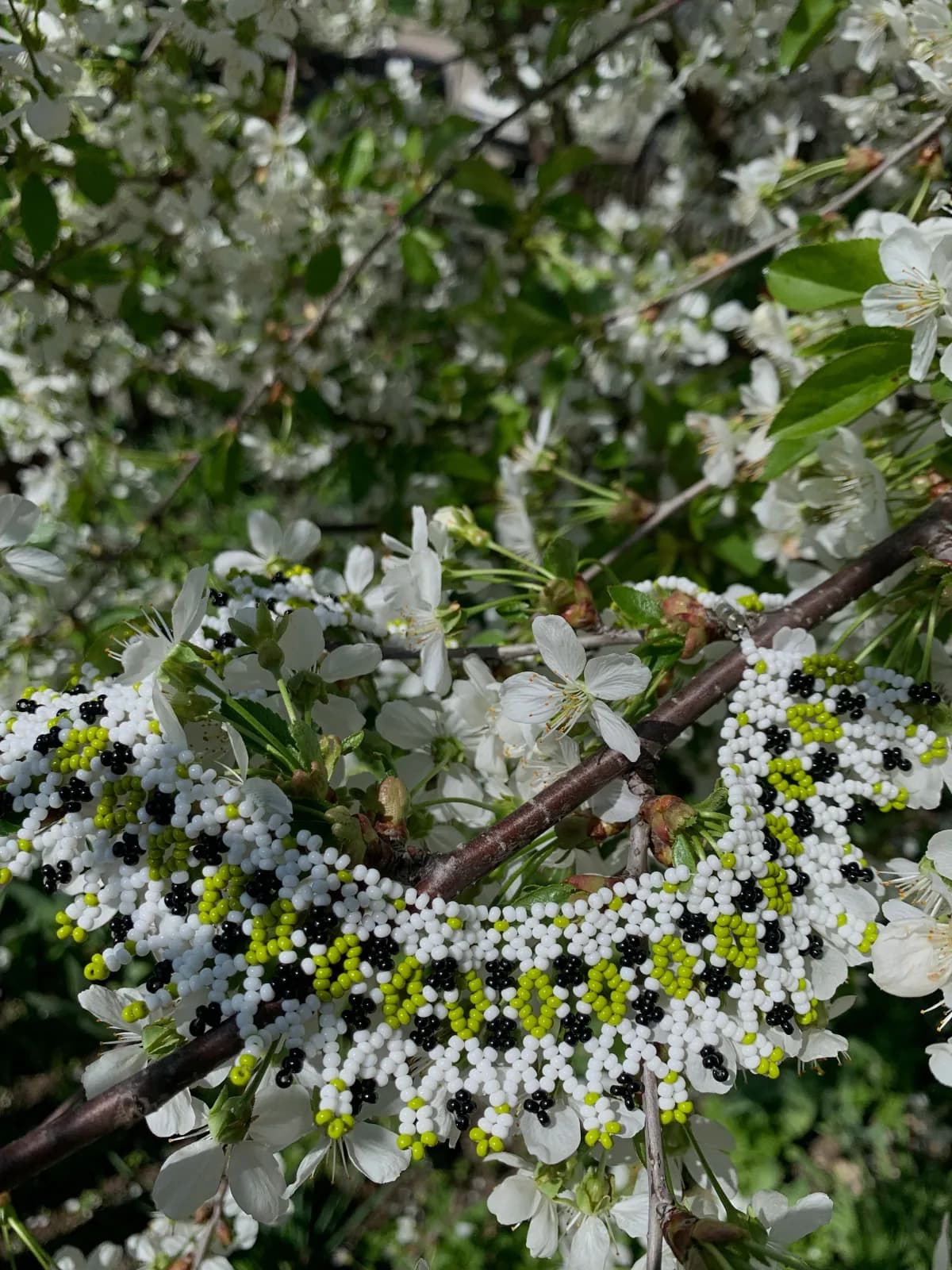 White sylianka with black and lime green seed beads among cherry blossoms
